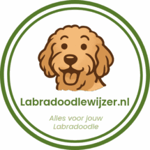 Logo_transparant